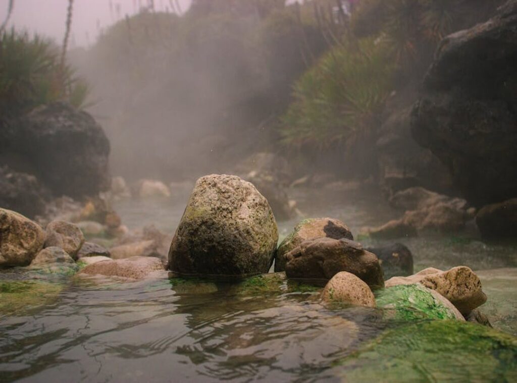 Lagertha Actriz Cuerpo lagertha actriz cuerpo