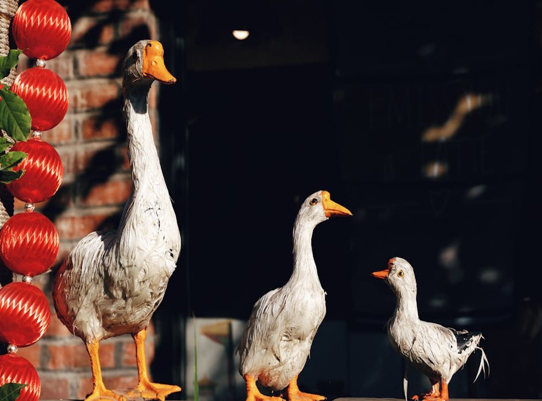 Lagertha Actriz Cuerpo Awards and Recognition