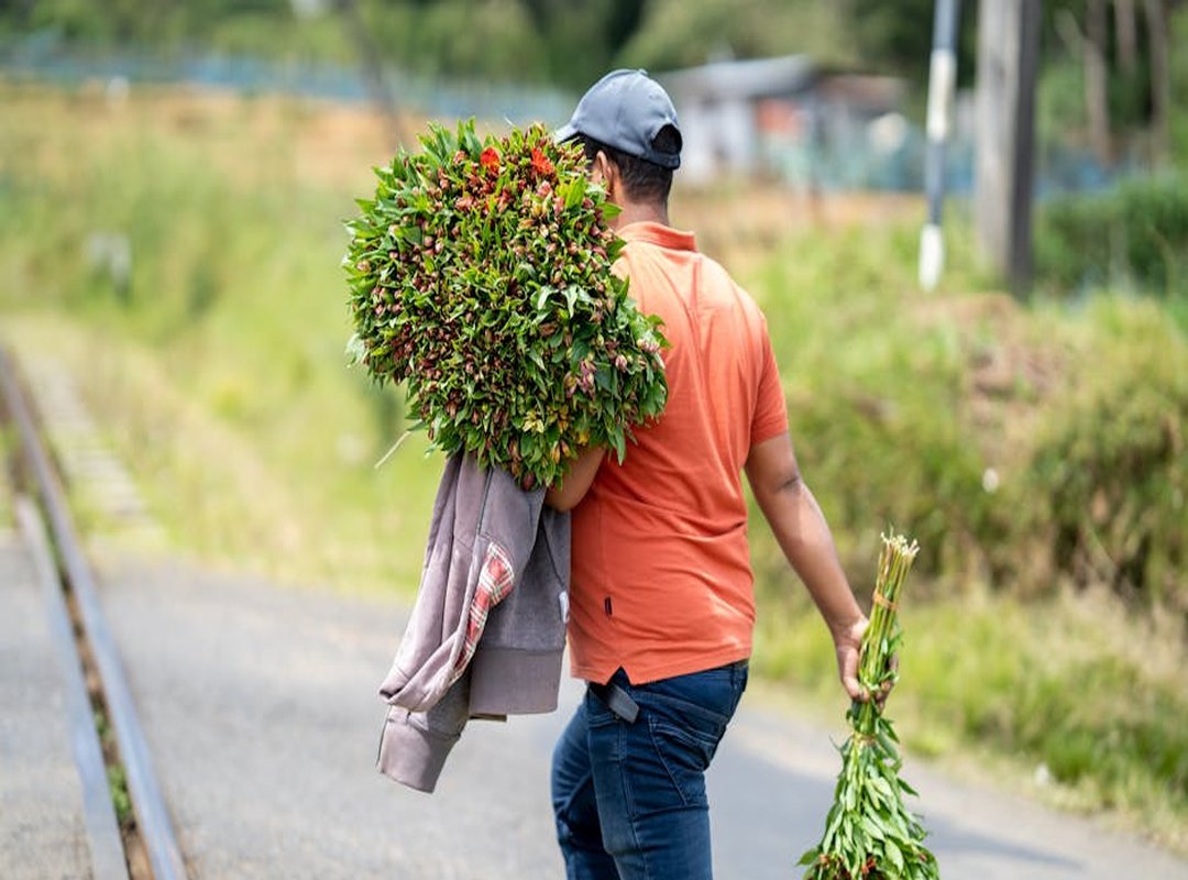 Talks Fake Friends Quotes Sinhala තමන්ගේ වාසියට පමණක් ලංවන මිතුරන් පිළිබඳ වදන් (Words About Friends Who Are Only Around for Their Own Benefit)