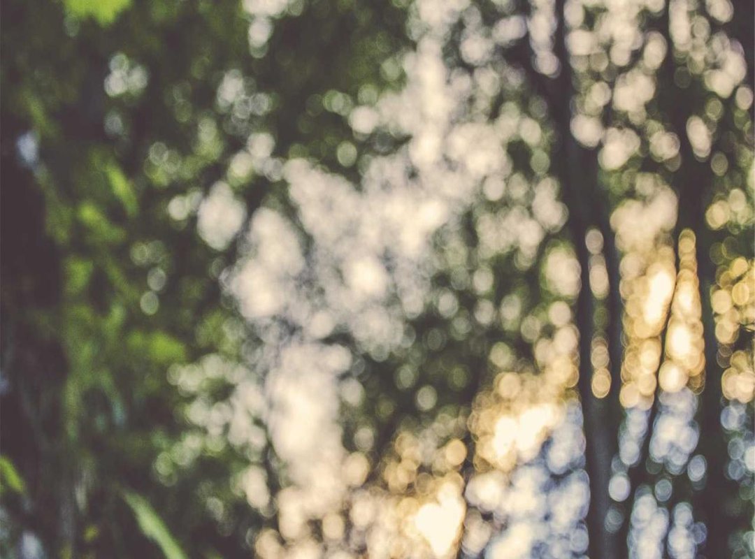 The Professional Partnership: How Their Paths Intersect