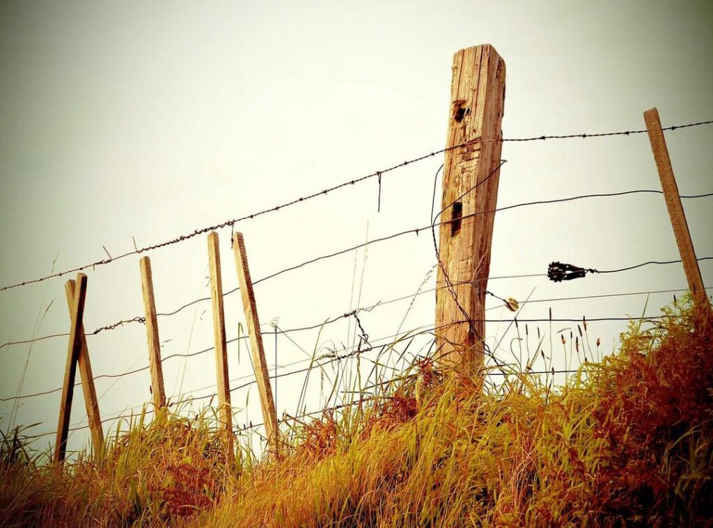 arsenal - rc lens tijdlijn