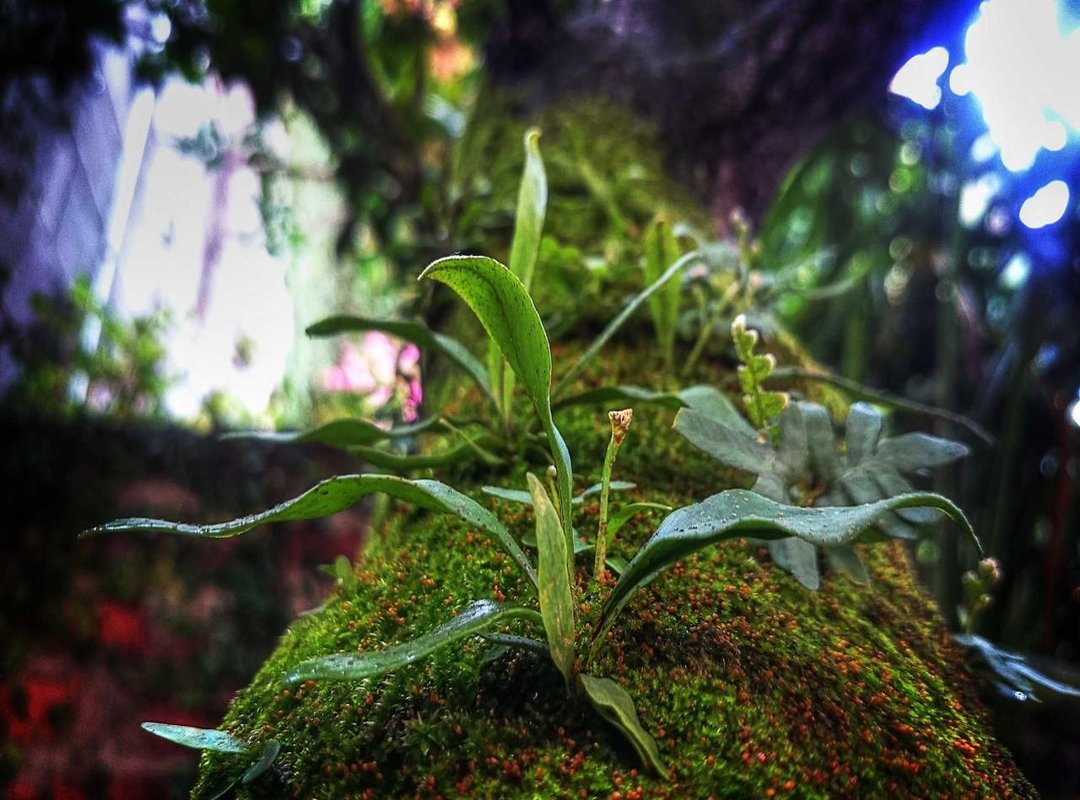 Before You Watch: A Spoiler-Free Look at 