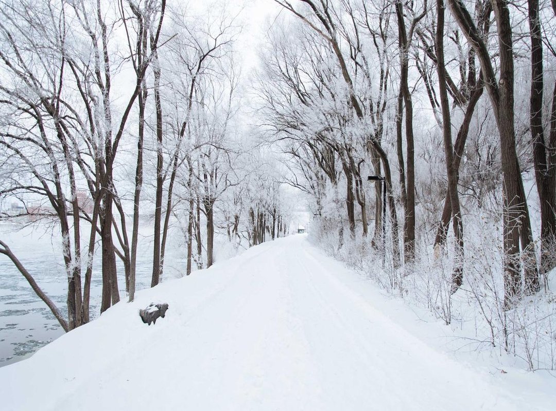 How to Spot a True 4K Wallpaper (And Avoid Fakes)