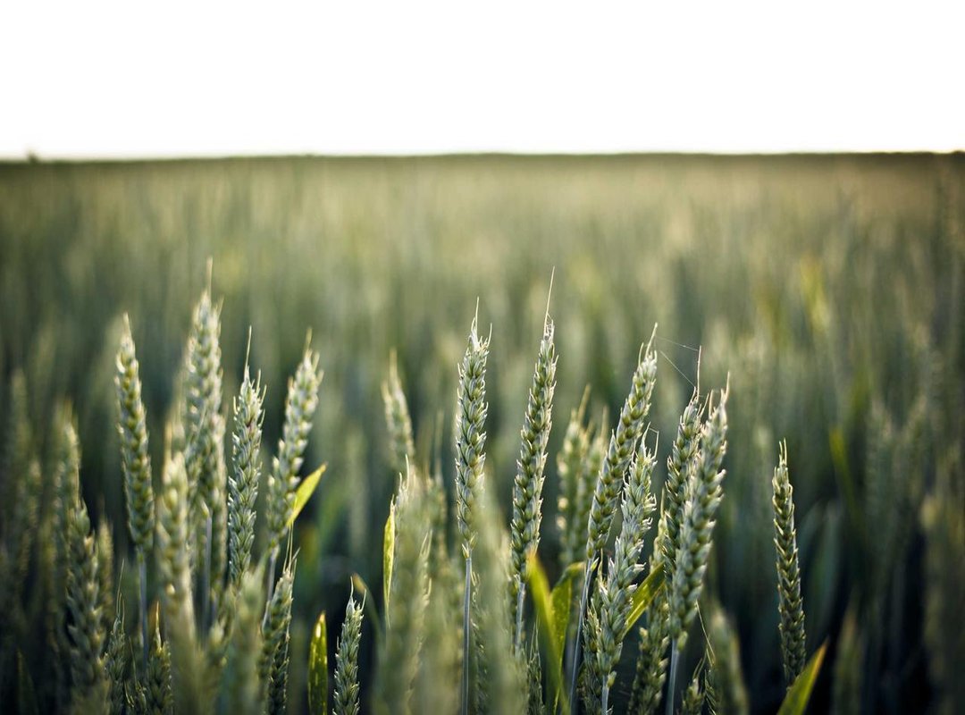 Player Profiles: Key Figures in the Match