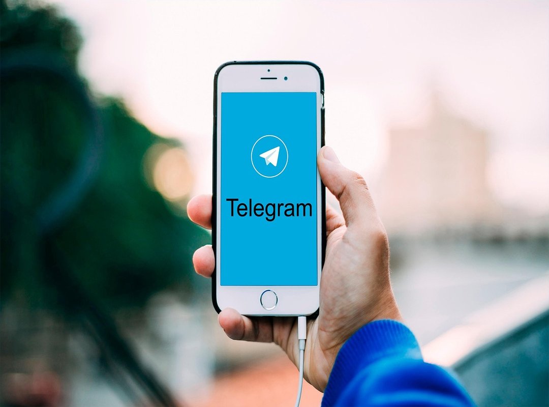 gay france telegram