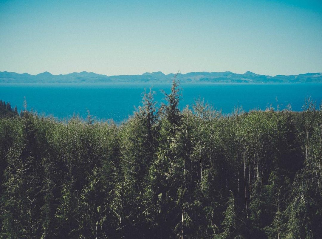 Gn Betekenis Snapchat Body