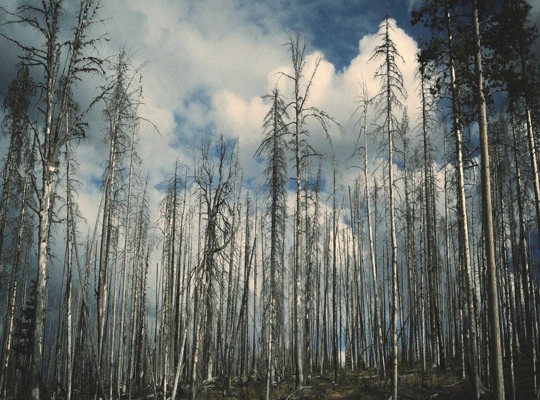 Solving Common Access Problems: Quick Fixes