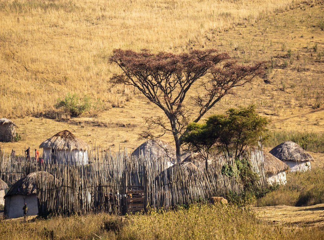 mara ognean dezbracata