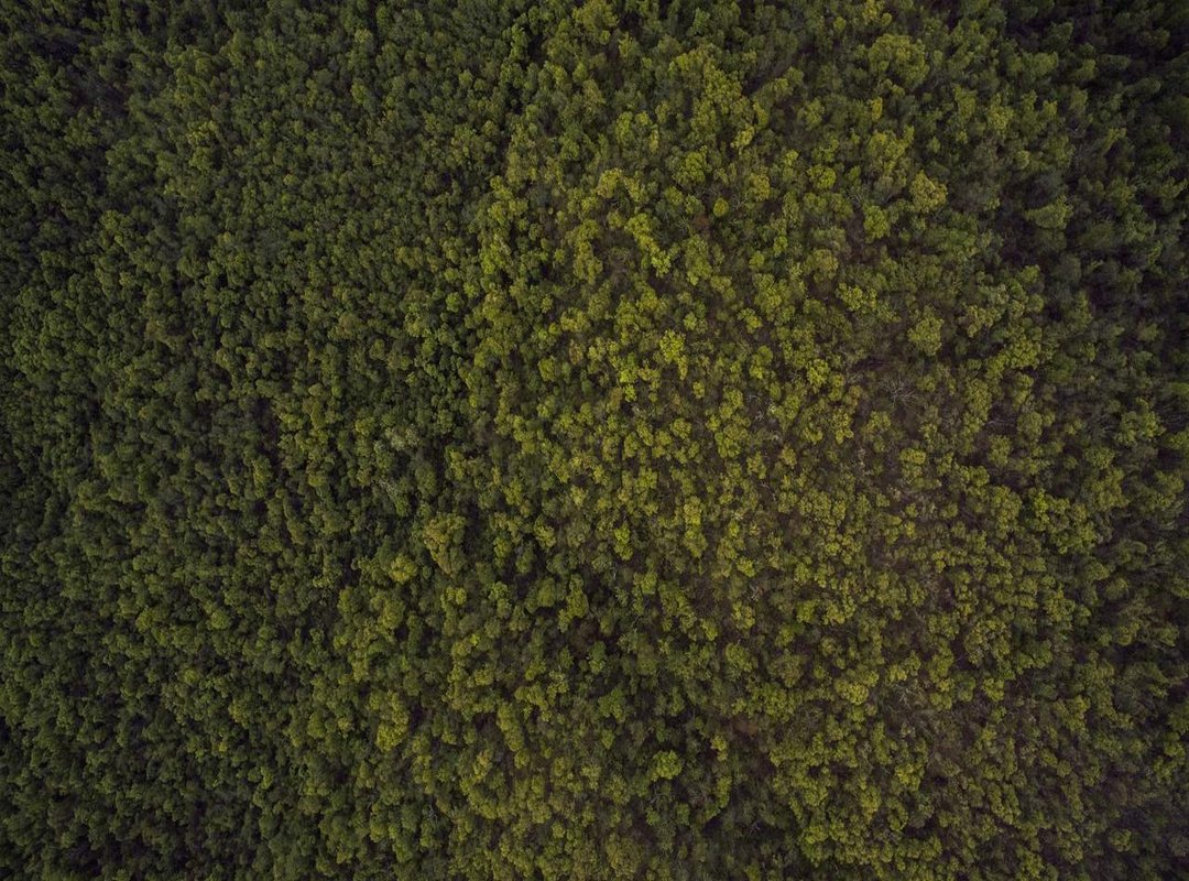 Step-by-Step: How to Set Your New Wallpaper on an iPhone 11