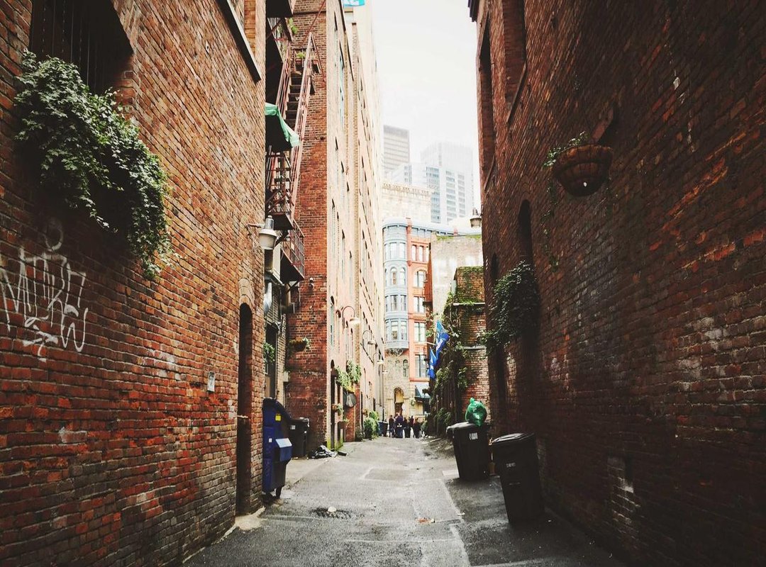 Beyond the Page: Must-Watch Anime Adaptations